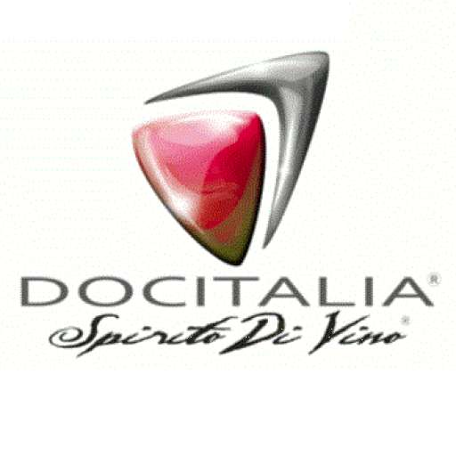 Docitalia